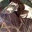 #9102-•-custom-3-pt-chisel-tillage-unit-with-poly-drum-image-20