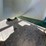 #9021-•-western-tank-liquid-fertilizer-on-4-wheel-wagon-image-27