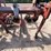 #9032-•-custom-3-pt-tillage-tool-bar-image-5