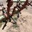 #9116-•-orthman-folding-tool-bar-image-20