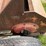 #5474-•-gehl-sa-720-tiller-image-9
