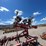 #9120-•-dave-koenig-cultivator,-3-pt-folding-image-11