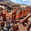 #9101-•-3-pt-field-cultivator,-4-row-custom-w/gallina-units-image-26