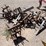 #9114-•-lot-of-spike-tooth-shanks-image-11