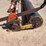 #9029-•-custom-roller-image-10