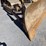 2012-caterpillar-d7e-image-13