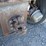 2017-kenworth-t880-image-34