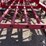 #9026-•-25'-dave-koenig-3-pt-folding-spike-tooth-leveler-image-13