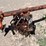 #9113-•-custom-4-row-cultivator-with-lilliston-lehman-units-image-3