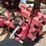 #9117-•-dave-koenig-10-tooth-folding-chisel,-3-pt-image-19