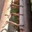 #5474-•-gehl-sa-720-tiller-image-11