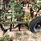 #9106-•-3-pt-field-cultivator,-4-row-custom-w/gallina-units-image-22