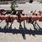#9122-•-3-pt-bush-hog-cultivator-w/gallinas-image-12