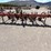 #9122-•-3-pt-bush-hog-cultivator-w/gallinas-image-1