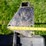 case-ih-image-4