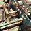 #9042-•-darbyshire-3-pt-4-row-bedding-unit-w/8-row-seed-units-image-31