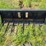 wolverine---63"-xtreme-manure-fork-attachment-mf-13-63w---skid-steer-image-1