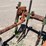 #9113-•-custom-4-row-cultivator-with-lilliston-lehman-units-image-4