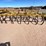#9033-•-hamby-3-pt-field-cultivator-image-4