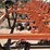#9101-•-3-pt-field-cultivator,-4-row-custom-w/gallina-units-image-34