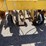 #9108-•-buffalo-cultivator-3-pt-image-15