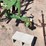 #9031-•-custom-3-pt-fertilizer-tool-bar-image-3