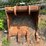 24"-4-tooth-excavator-bucket-image-1