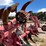 #9117-•-dave-koenig-10-tooth-folding-chisel,-3-pt-image-38