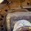 2011-caterpillar-d7e-image-49