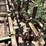#9041-•-3-pt-spike-tooth-tillage-implement-custom-image-32