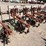 #9113-•-custom-4-row-cultivator-with-lilliston-lehman-units-image-1