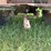 john-deere-ar-image-22