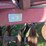 case-ih-496-image-8