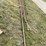#251-•-carriage-tracks-image-1