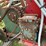 #250-•-cleerman-36-carriage-image-39