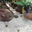 john-deere-7200-image-6