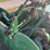 john-deere-24t-image-11