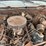 #22600-•-1978-ford-thunderbird-|-for-parts-&-repairs-only-image-36