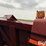 2012-case-ih-3406-image-20