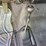 2004-auto-crane-4004eh-image-18