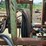 #255-•-frickco-husk-image-15