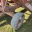 ez-trail-300-image-3
