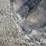 (4)-firestone-flotation-tires/rims-(np6093,-unit-464832)-image-9