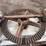 sorghum-press-image-4