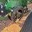 2014-john-deere-1770nt-image-28