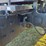 case-ih-flx3300b-image-21