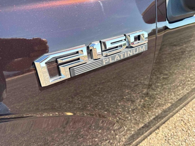 2020-ford-f150-platinum-image-16