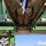 2019-john-deere-712c-image-13