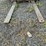 #305-•-mitsubishi-forklift-image-9