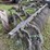 case-10-disc-plow-image-9